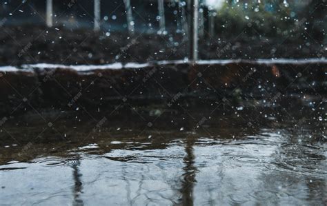 雨天照片|70000 多张免费的“下雨”和“雨”照片